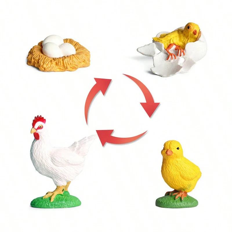 Simulación de ciclo de vida, modelo de animales, insecto, planta, ciclo de crecimiento, biología, ciencia, adorno educativo, decoración de escritorio de oficina TMZ - imagen 2