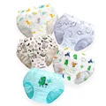 5pcs Dinosaur 7
