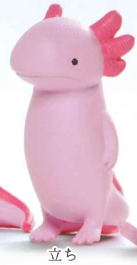 standing axolotl