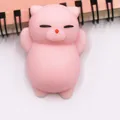 Pink cat
