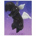 Dragon black