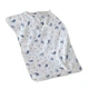 blue dolphin