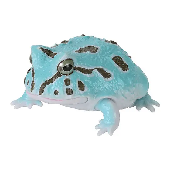 Blue Horned Frog