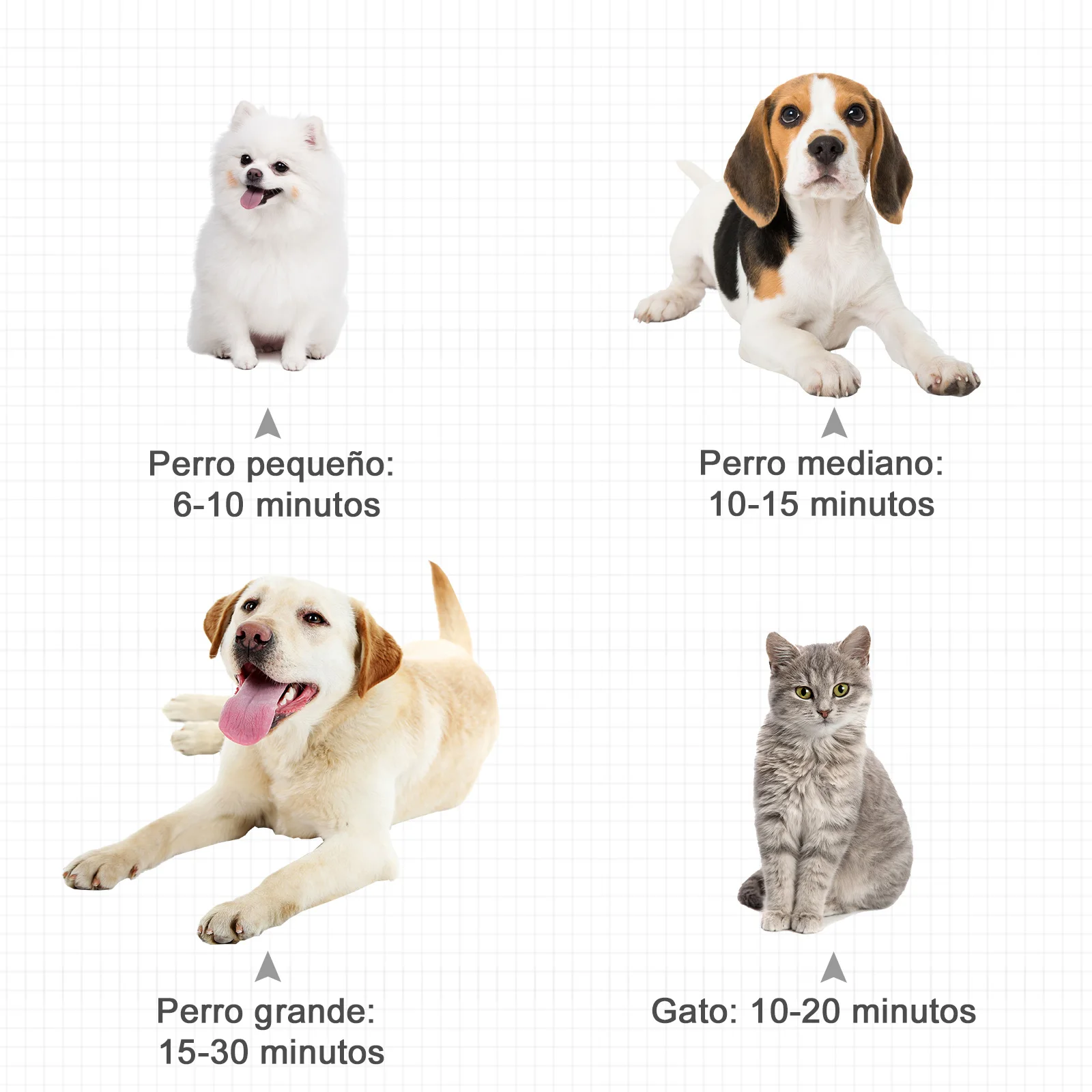 PawHut Secador Pelo Potencia para Perros y Mascotas con Tubo Flexible 2'5 m Negro - imagen 5