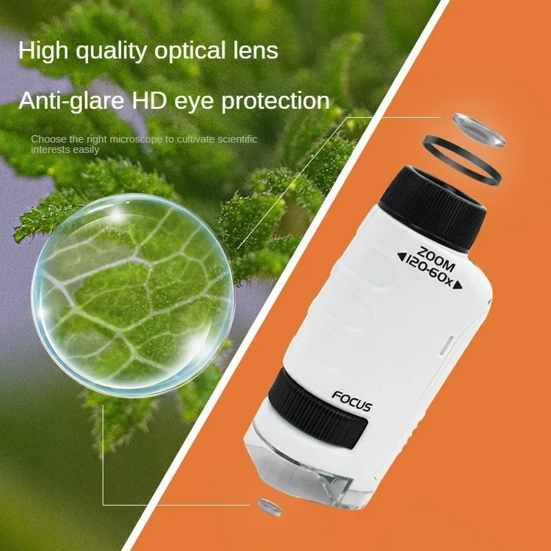 Microscopio de mano LED infantil para ciencia y experimentos - imagen 2