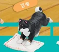 Mameshiba