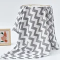 Gray Stripe