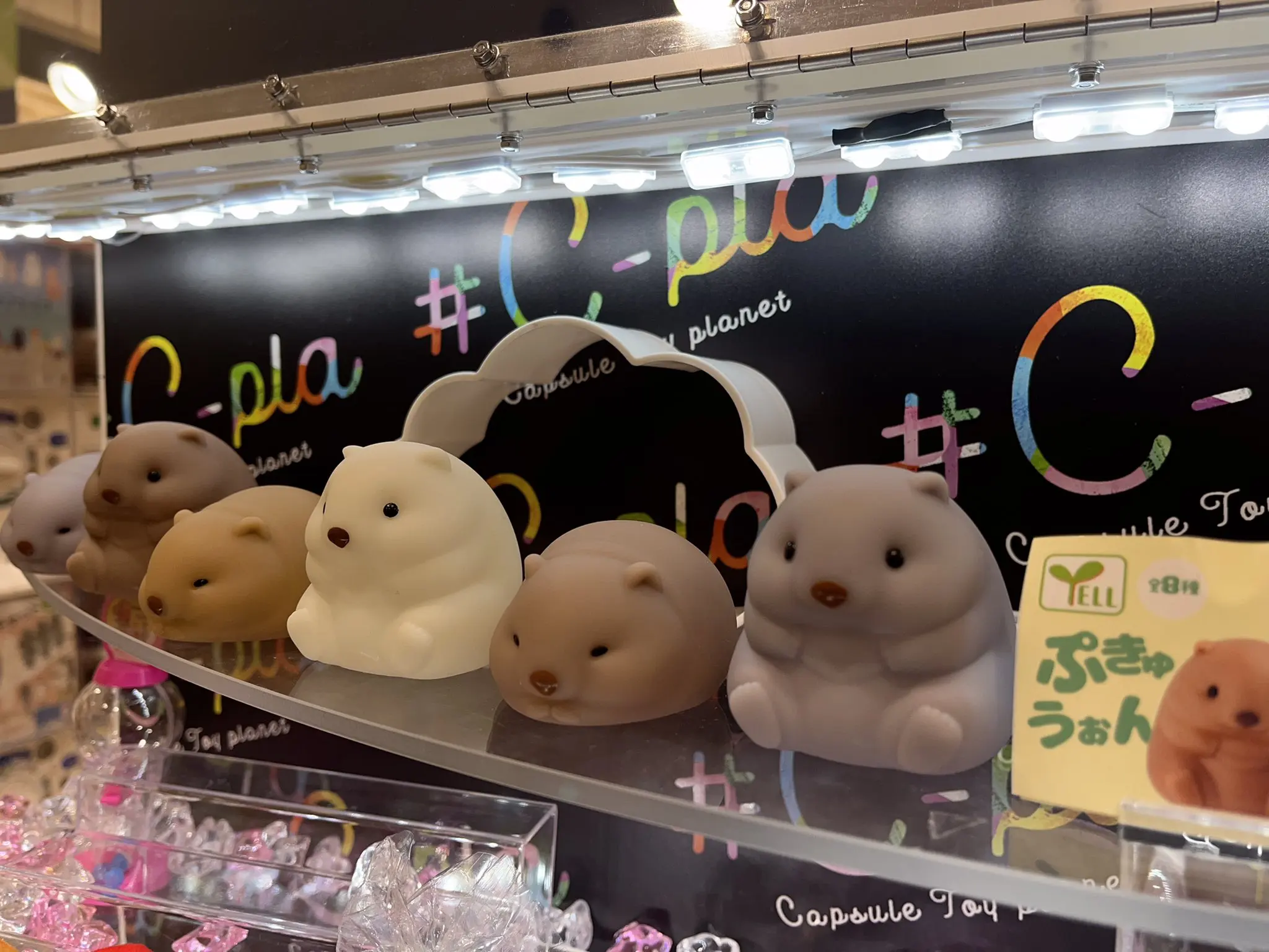 Cápsula de juguete Original, Pukyuto kawaii Wombat-muñecas blandas y blandas, figuras de gashapon - imagen 3