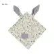 gray rabbit