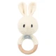 blue bow bunny