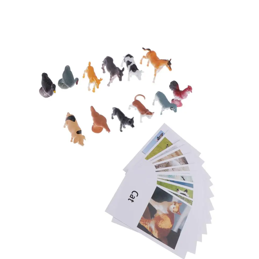 Montessori Animal Match Cards And Figures 12 Pieces Miniature Poultry Animals