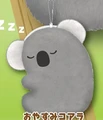 goodnight koala