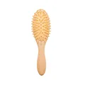 Massage Brush
