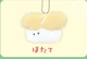 scallop sushi