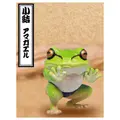 Komusubi tree frog