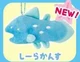 Coelacanth