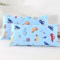 2-pillowcase-1pc