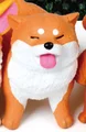 Shiba Inu