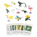 bird