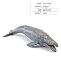397 gray whale