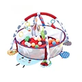 Ladybug with18balls