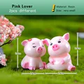 2pcs Pig Lover