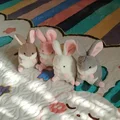 4pcs(set)