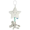 Star Koala