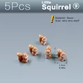 5pcs Squirrels