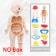 S-18cm-NO BOX
