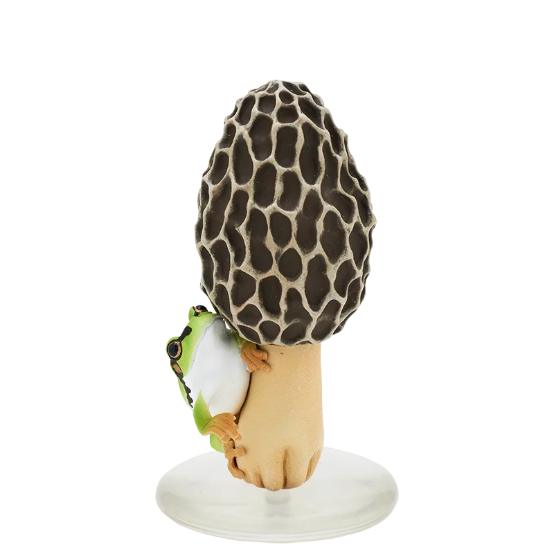 morel