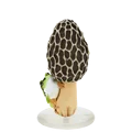 morel