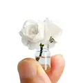 white-rose
