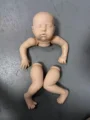 Teddy