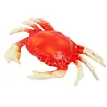 Red White Crab