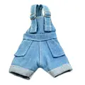light blue-b