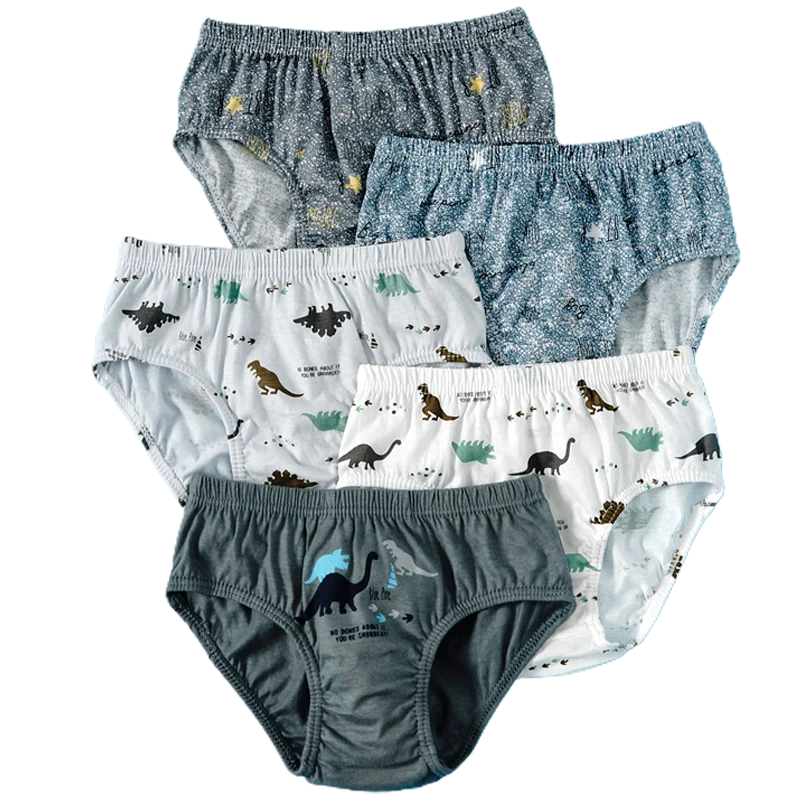 5pcs Dinosaur 6