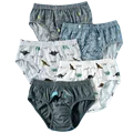 5pcs Dinosaur 6