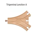 Trigeminal junctionA