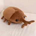 50cm Hercules beetle