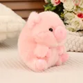pig