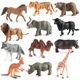 wild animals