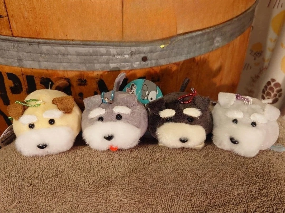 Amuse cápsula juguetes lindo kawaii peluche Shuna y Bob juguetes de peluche Schnauzer colorido BC bolsa colgante cachorro gordo perro regalos figuras - imagen 2