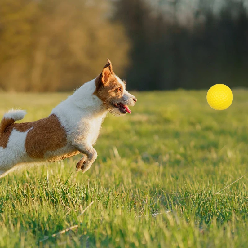 Pelota de juguete para perros, esponja de espuma de PU amarilla, elástica, adiestramiento en interiores y exteriores, accesorios duraderos para jugar a los perros, suministros para mascotas TMZ, 2/4/6/10 Uds. - imagen 3