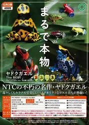 Ikimon figura de rana coleccionable