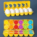 12 Huevos con Dígitos