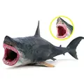 Megalodon