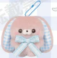 Coco Mini Lop