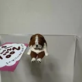 Bulldog