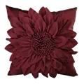 Burgundy Red